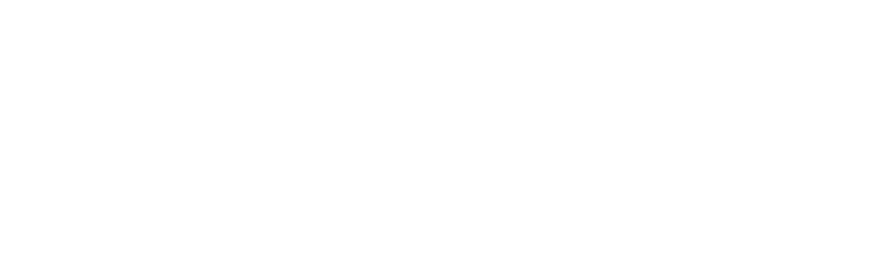 Praesidium Logo