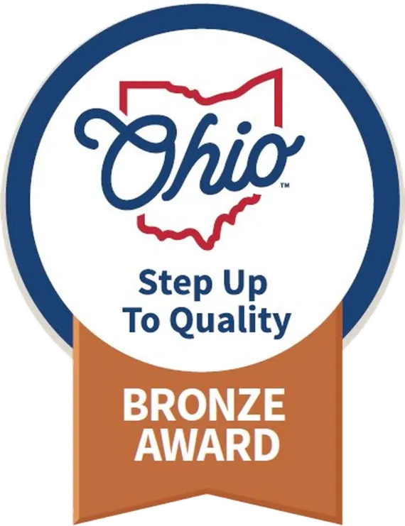 Bronze Award